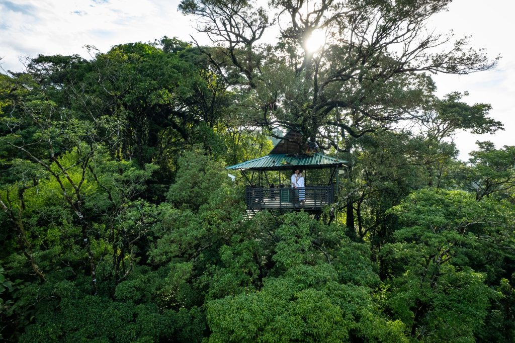 Rainforest-Observatory-Platform-Sensoria